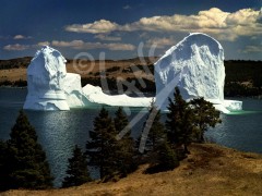 Port de Grave iceberg